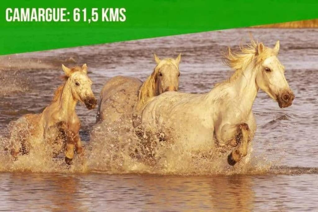 Le Noe - Ac Clim - Wi-Fi Apartman Avignon Kültér fotó